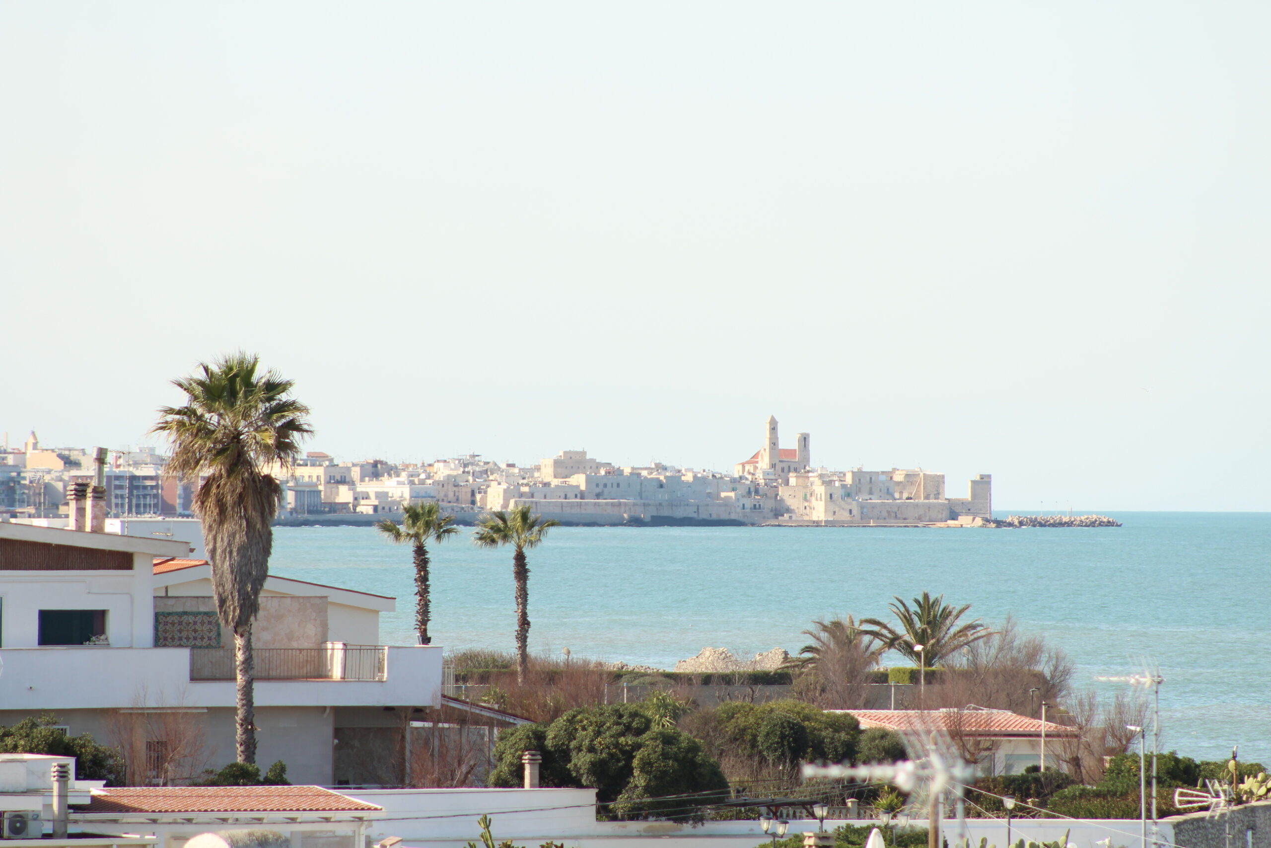 32.vista giovinazzo