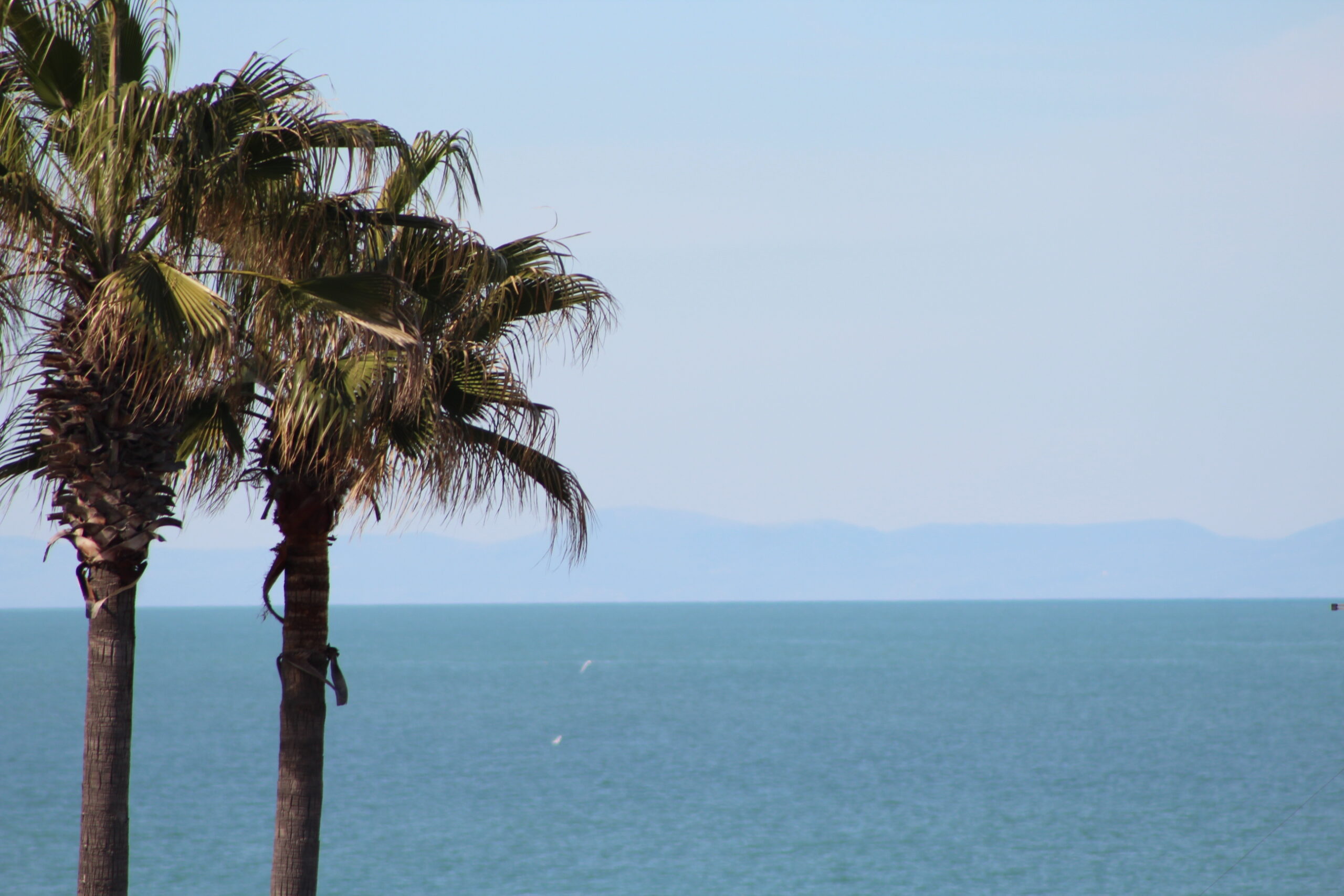 33.vista gargano