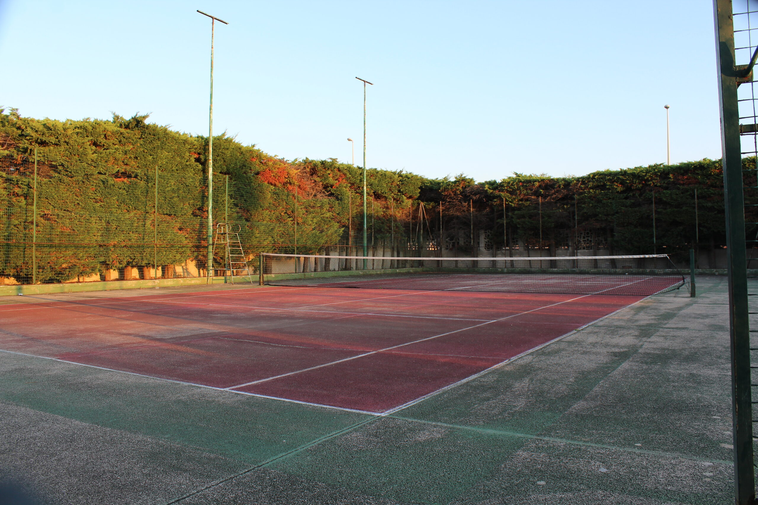 39.tennis1