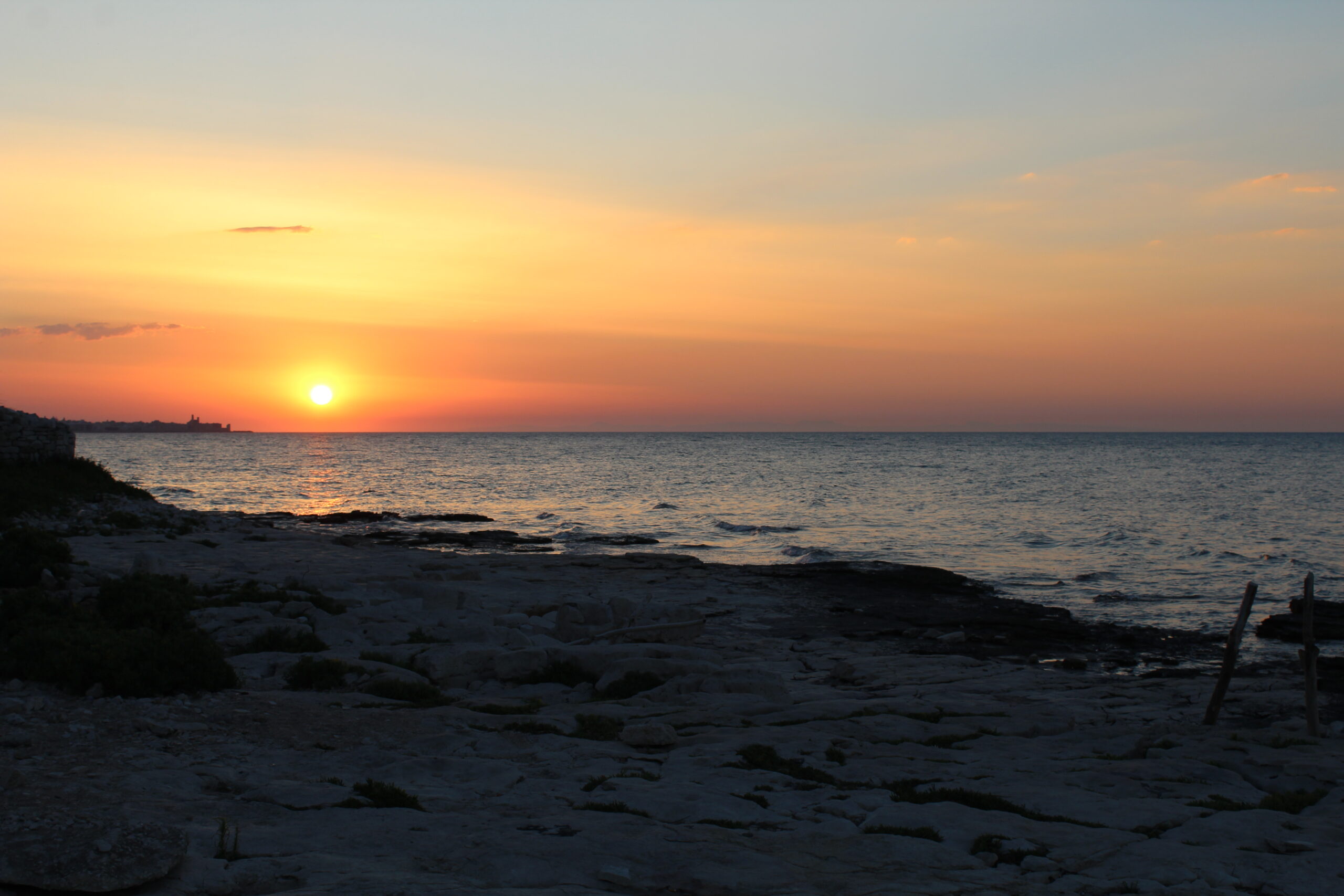 50.mare